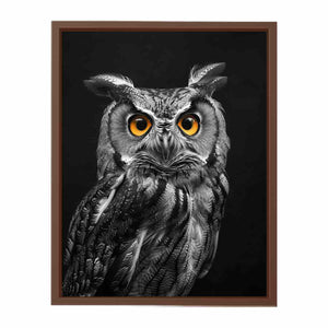 Owl Poster