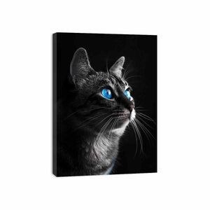 Cat Canvas Print