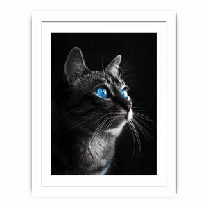 Cat Streched canvas