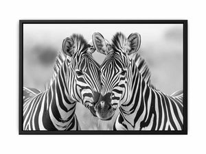 Two Zebras Painting