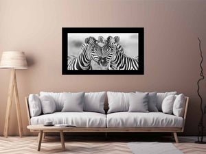 Two Zebras