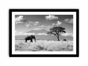 Lonely Elephant Art Print