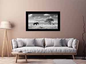 Lonely Elephant