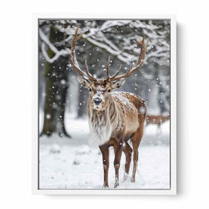 Reindeer in Snow Framed Print