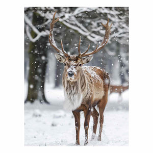 Reindeer in Snow