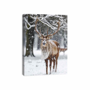 Reindeer in Snow Canvas Print