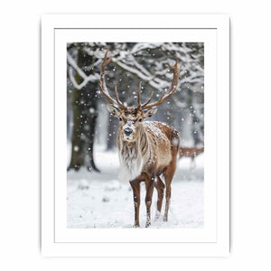 Reindeer in Snow Streched canvas