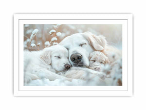 Dog Cute Baby Streched canvas