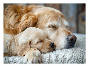 Dog Cute Babies