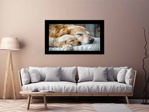 Dog Cute Babies