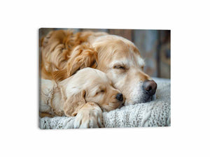 Dog Cute Babies Canvas Print