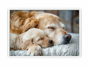 Dog Cute Babies Framed Print
