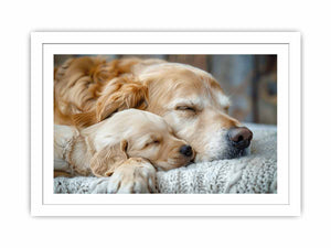 Dog Cute Babies Streched canvas