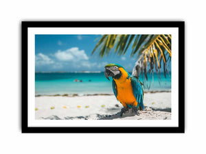Tropical Parrot Art Print