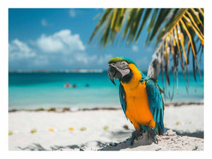 Tropical Parrot
