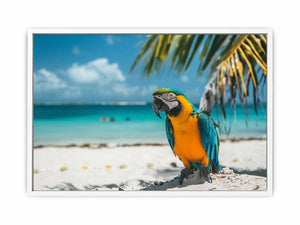 Tropical Parrot Framed Print