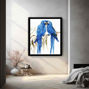 Hyacinth Macaw