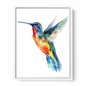 Hummingbird Framed Print