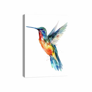Hummingbird Canvas Print