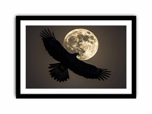 Eagle Art Print