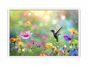 Hummingbird Framed Print