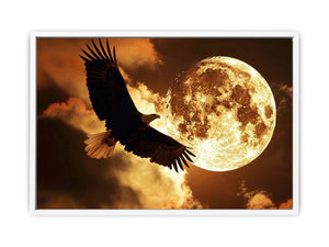 Eagle Framed Print