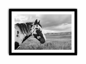 Horse Art Print