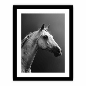 Horse Art Print