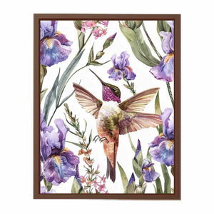 Hummingbird Poster