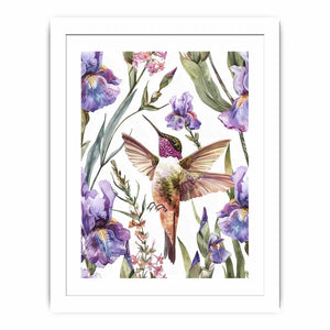 Hummingbird Streched canvas