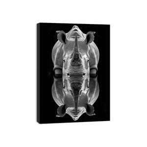 Rhino image