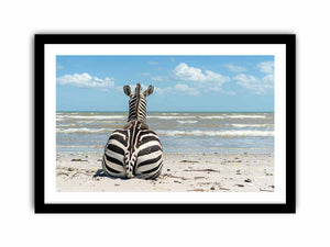 Calm Zebra Art Print