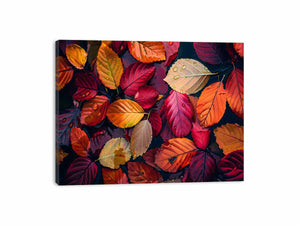 Beautiful Leaves Canvas Print