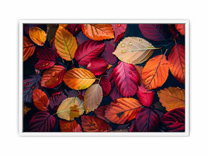 Beautiful Leaves Framed Print