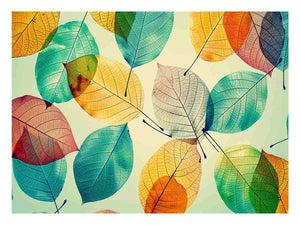 Beautiful Leaves