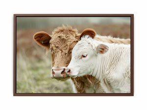 Cow Mother & Child Poster