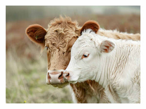Cow Mother & Child