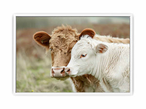 Cow Mother & Child Framed Print