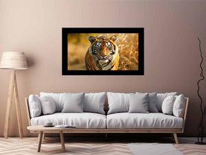 Bengal Tiger