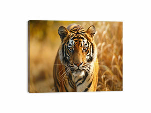 Bengal Tiger Canvas Print