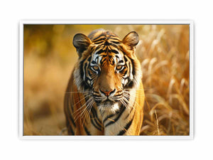 Bengal Tiger Framed Print