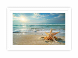 Starfish Streched canvas