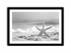 Starfish Art Print