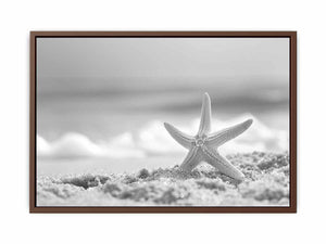 Starfish Poster