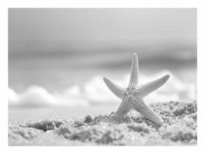 Starfish