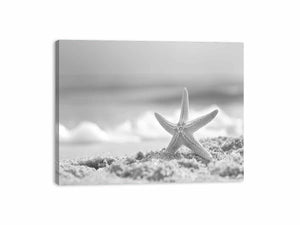 Starfish Canvas Print