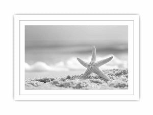 Starfish Streched canvas
