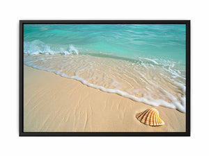 SHell Painting