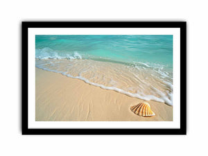 SHell Art Print