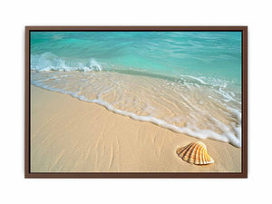 SHell Poster